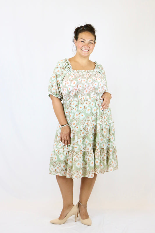 Brinkley Dress - XXL